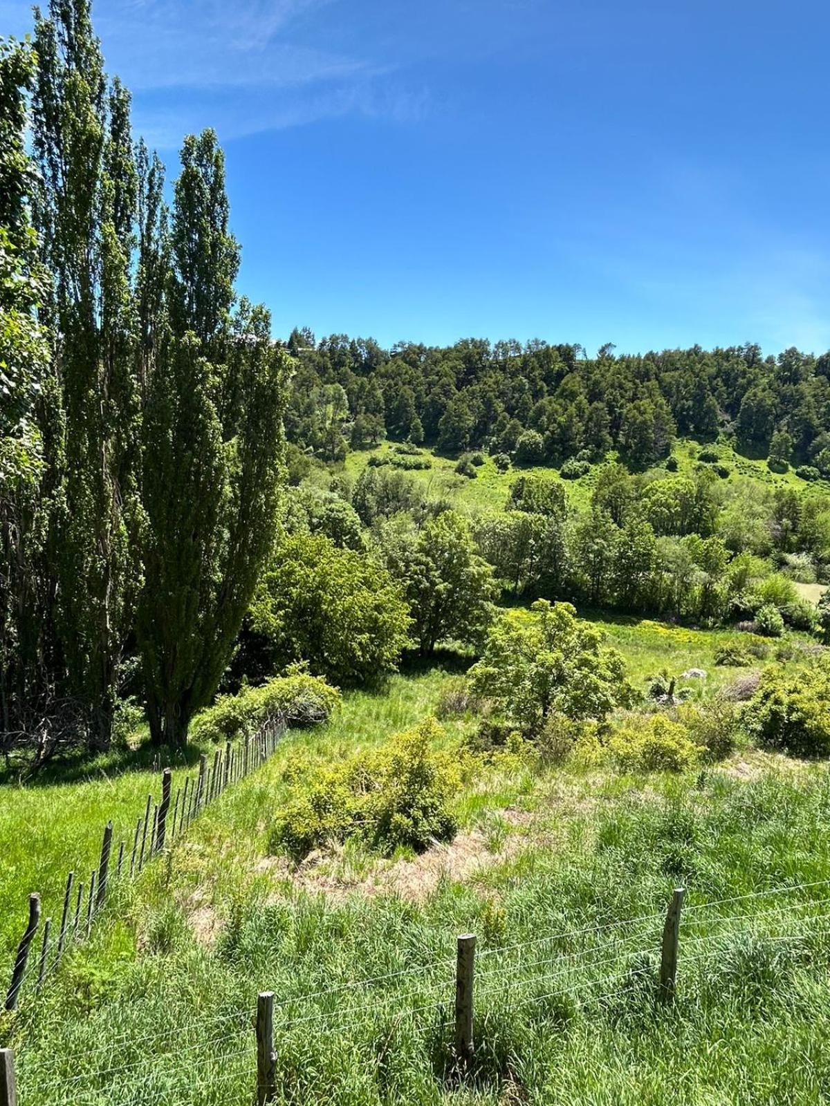 Austral Patagonian Lodge コイハイケ エクステリア 写真